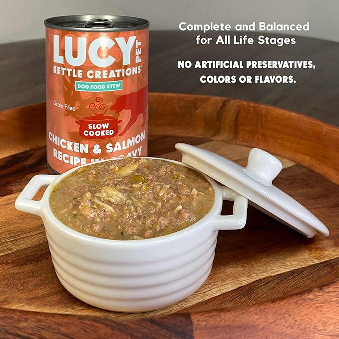 Lucy Pet Chicken & Salmon Recipe in Gravy for Dogs 12.5oz (12 Count)