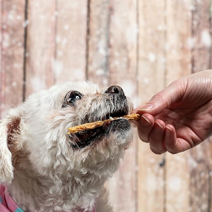 Chicken Jerky Sticks Crunchy Dog Treats Made in The USA Single Ingredient for Small to Large Dogs 75 Count 8oz
