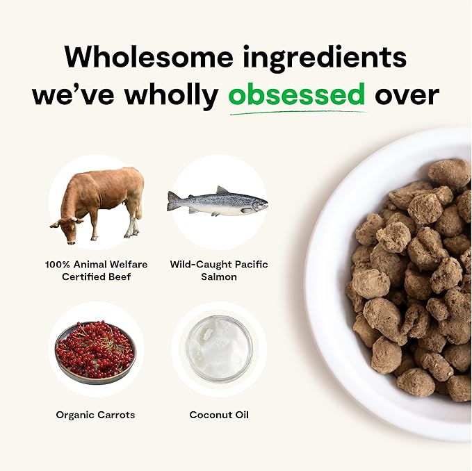 Open Farm Freeze Dried Raw Dog Food, Humanely Raised Meat Recipe with Non-GMO Superfoods and No Artificial Flavors or Preservatives (13.5 Ounce (Pack of 1), Surf & Turf Recipe)
