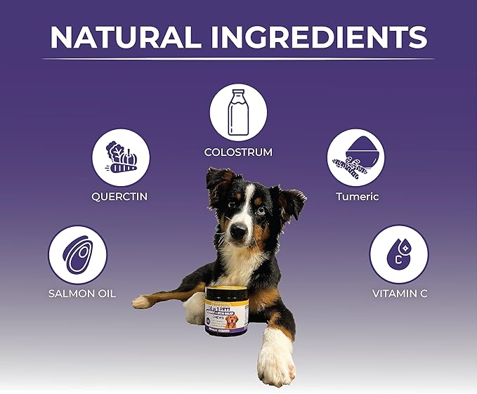 Pet Allergy and Itch Relief, Dog Allergy Chews, Intermittent Itchiness, Pet Probiotic, Seasonal Allergies - Anti Itch Support