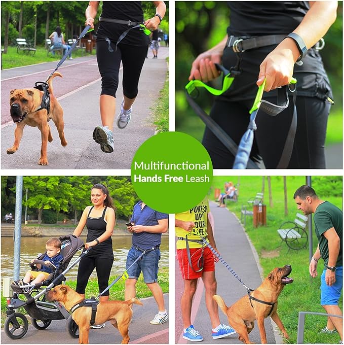 Hands Free Dog Leash for Running +Training Leash Walking & Double Dog Leash Coupler Set, Fits 2 Dogs - Bungee Leash & Reflective Leash - Adjustable Waist Belt & Retractable Leashes Take Yankee