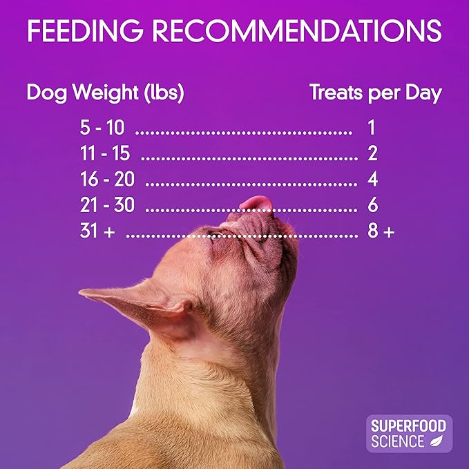 Organic Dog Treats for Small, Medium, and Large Breeds, Semi-Soft Organic Turkey Dog Training Jerky Snack Bites, All-Natural & Gluten-Free, Immunity & Hypoallergenic recipe, 5 oz