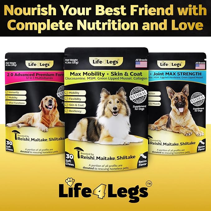 Soft Chews Hip and Joint Supplement for Dogs - Dog Joint Pain Relief Treats - Glucosamine, Chondroitin, Turmeric- Mobility Supplement (Hip & Joint + Skin & Coat, Bacon - 30 Soft Chews)