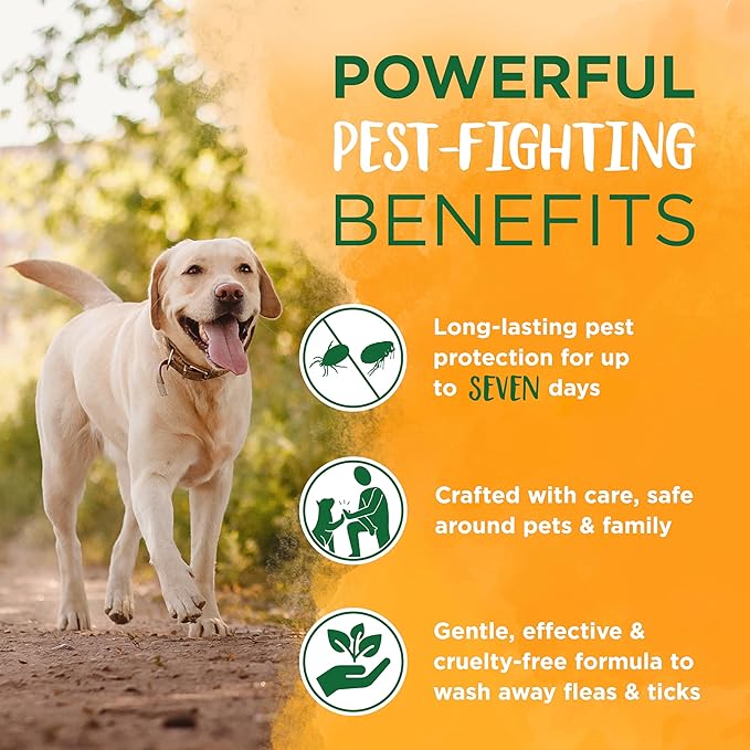 Natural Flea & Tick Soothing Shampoo & Bedding Spray Bundle | Flea & Tick Prevention | Dog Shampoo | Flea & Tick Treatment Protects & Repels | Made in The USA