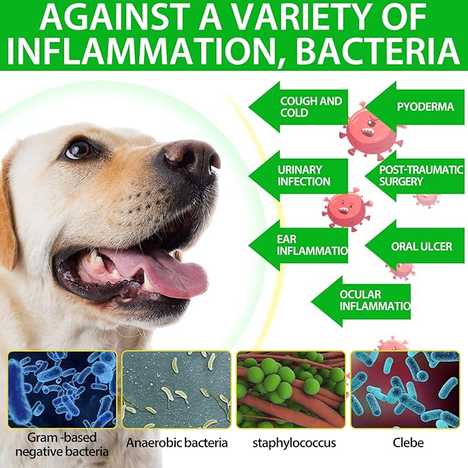 Antibiotics for Dogs, Natural Dog Antibiotics Supports Dog Allergy and Itch Relief, Dog Supplies Antibiotics, Dog Multivitamin for Pets, Bacon Flavor - 60ml x 2