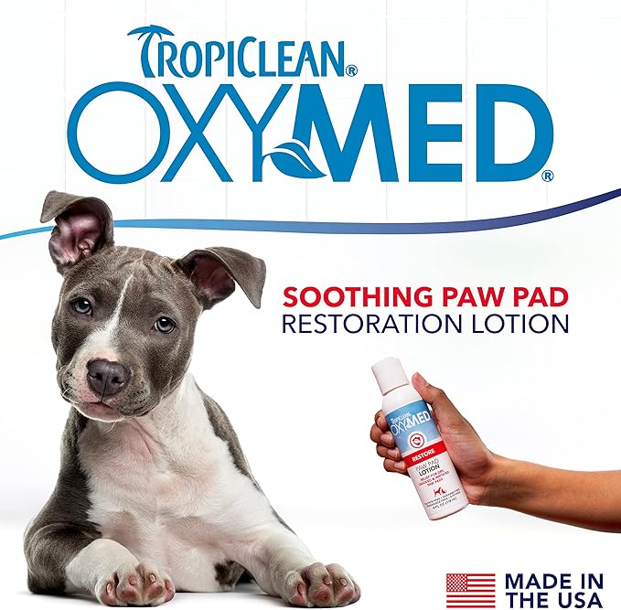 TropiClean Oxymed Paw Pad Cat & Dog Lotion for Dry Skin | Allover Skin Soother for Dogs & Cats | 4 oz
