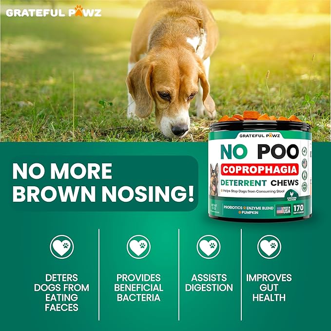 No Poo Chews For Dogs - 170 Chews - Coprophagia Stool Eating Deterrent for Dogs - Prevent Dog from Eating Poop - Stop Eating Poop for Dogs Supplement - Forbid for Dogs - Probiotics & Digestive Enzymes