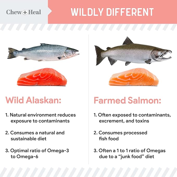 Pure Wild Alaskan Salmon Oil for Dogs - 16 oz. - Pump Cap Bottle - Contains Omega-3 and 6, Vitamin D, EPA, and DHA for Healthy Skin and Coat - Toxin Free