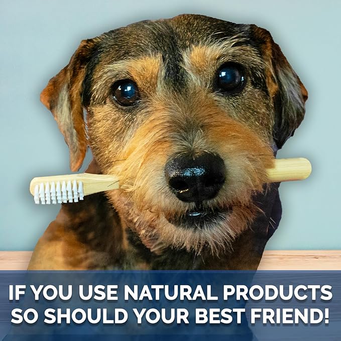 All Natural Dog Toothpaste, Organic Canine Toothpaste for Dogs, Veterinarian Formulated, Removes Tartar & Improves Gum Health, Safe, Made in USA - 5oz Spear Mint