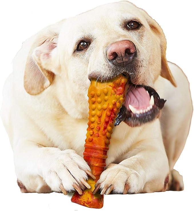 Nylabone Strong Chew Flavor Frenzy Souper Bone Chew Toy for Dogs, Indestructible Chew Toys for Aggressive Chewers, Pepperoni Pizza Flavor, X-Large/Souper - 50+ lbs. (1 Count)
