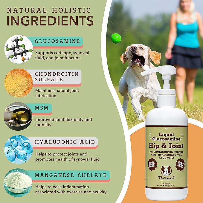 Natural Dog Company Liquid Glucosamine Hip & Joint Oil for Dogs, 16 oz, Extra Strength Cartilage and Joint Support, Helps Mobility and Eases Occasional Stiffness, Dog Vitamins and Supplements
