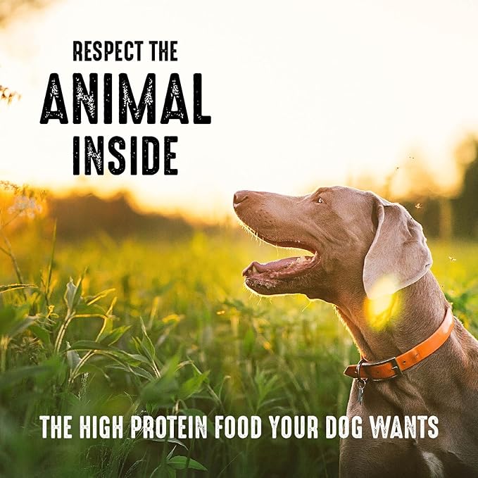 CRAVE Grain Free High Protein Adult Dry Dog Food with Lamb, 4 lb. Bag