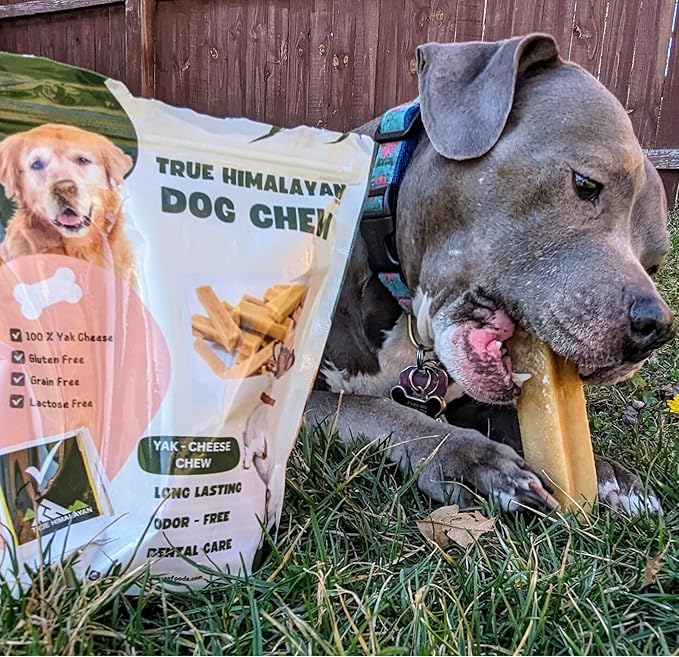 True Himalayan Yak Cheese Dog Chews Long Lasting Odor Free Dental Chews for Dogs, Natural Cheesy Dog Bones for Aggressive Chewers, Healthy Dog Treats (Large, 4, Count)