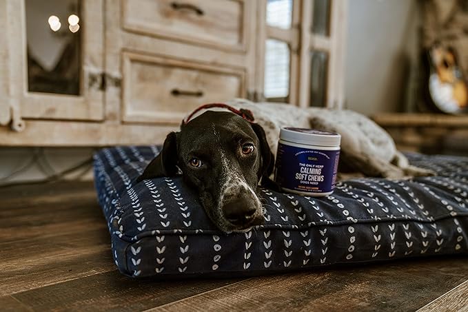 Natural Rapport Dog Calming Treats - The Only Calming Soft Chews That Dogs Need - 120ct Chews That Contain Chamomile to Alleviate Stress