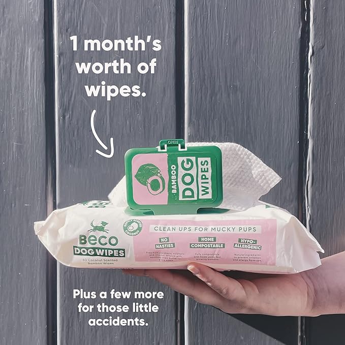 Beco Bamboo Dog Wipes, Thick Grooming Wipes For Easy Pet Cleanup, Home Compostable, 80 Count (Coconut)