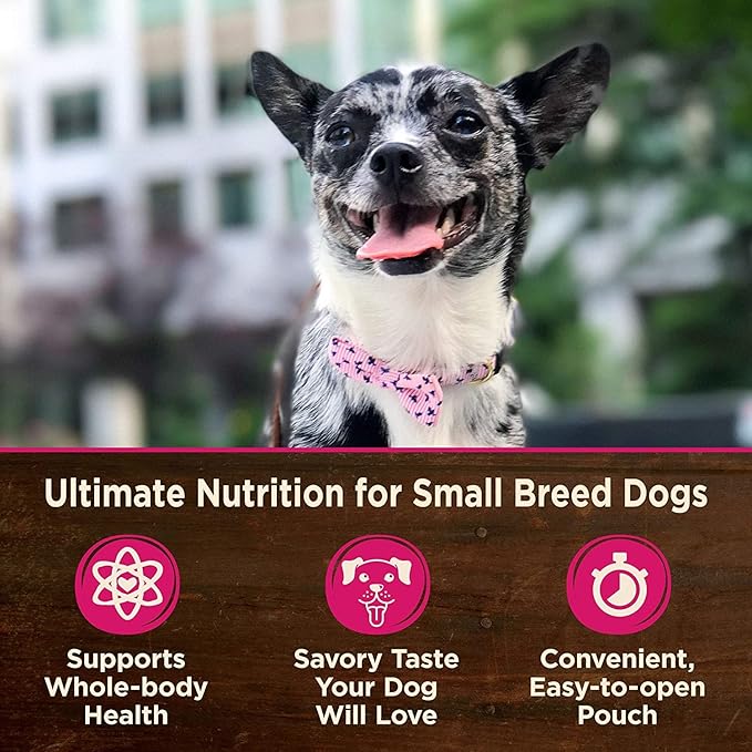 Wellness CORE Mini Meals Grain Free Small Breed Dog Wet Food 3oz Pate Chicken Entree, Chunky Chicken and Liver, Shredded Chicken Turkey Dinner in Gravy 3 Flavors 6 Pack Plus Newspaper Plush Dog Toy