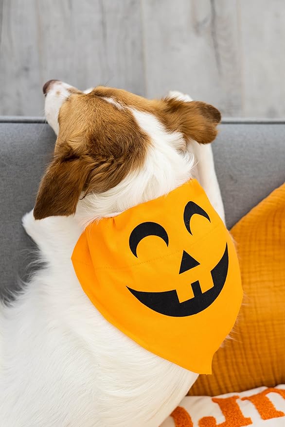 Pearhead Pumpkin Dog Bandana, Holiday Fall Dog Apparel, Halloween Dog Costume, Dog Slip On Collar Accessories, Medium/Large, M/L