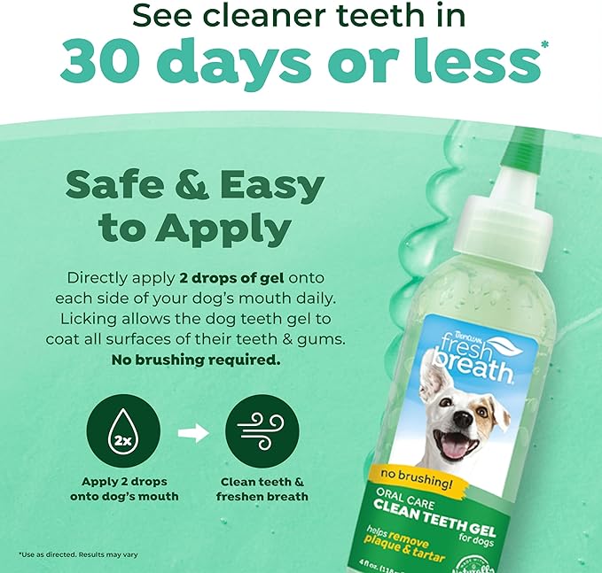 TropiClean Clean Teeth Gel for Dogs | Dog Dental Care | Dog Toothpaste | Breath Freshener | Easy Teeth Cleaning | Made in the USA | 4 oz.