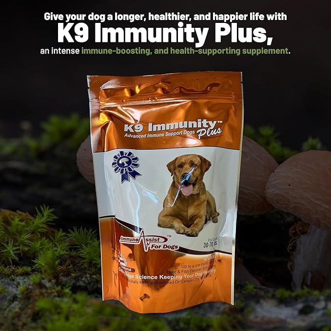 K9 Immunity Plus - Potent Immune Booster for Dogs 30-70 lbs - Certified Organic – Mushroom Enhanced Supplement - Veterinarian Recommended Dog Health Supplement - 60 Chews 2 Pack