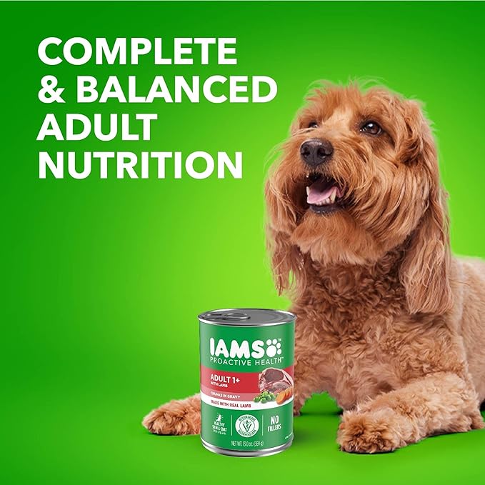 Iams Proactive Health Wet Dog Food, Lamb Chunks in Gravy, 13 oz., Pack of 12