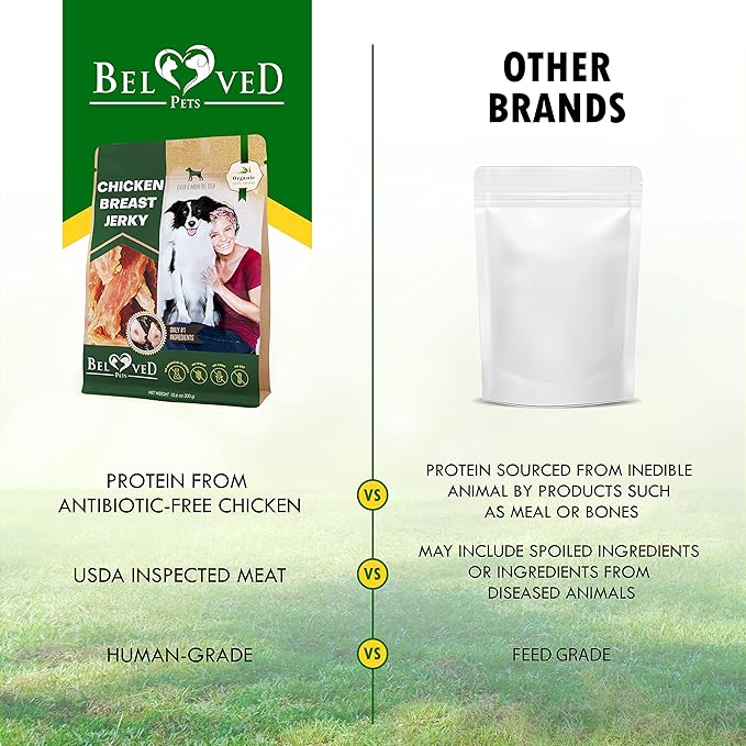 Beloved Pets Chicken Jerky Dog Treats 11 OZ - All Natural and Healthy Snacks for Large & Small Dogs - Grain Free and High Protein Meat - Human Grade Pet Chews
