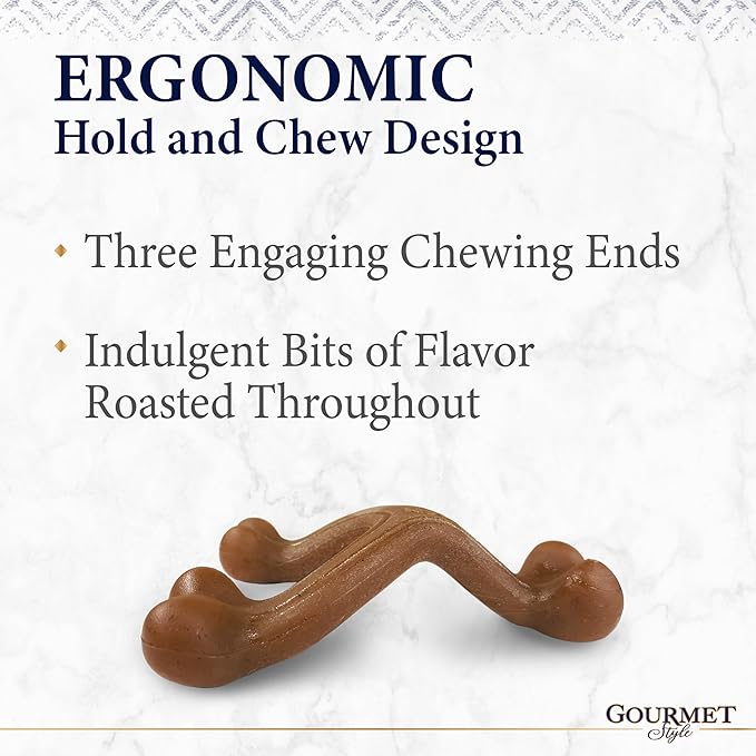 Nylabone Gourmet Style Strong Chew Wishbone Dog Chew Toy, Bacon Flavor, Small/Regular (1 Count)