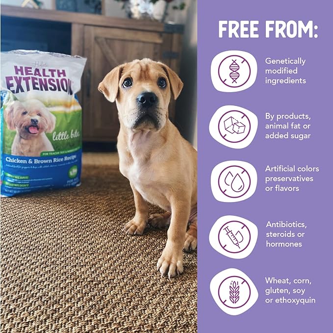 Health Extension Little Bites Dry Dog Food, Natural Food with Added Vitamins & Minerals, Suitable for Teacup, Toy & Small Dogs, Chicken & Brown Rice Recipe (10 Pound / 4.5 Kg)