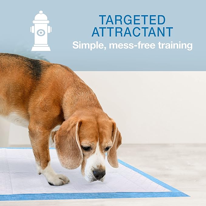 Four Paws Wee-Wee Superior Performance Gigantic Pee Pads for Extra Large Dogs, Leak-Proof Floor Protection Dog & Puppy Quilted Potty Training Pads, Unscented, 27.5" x 44" (50 Count)