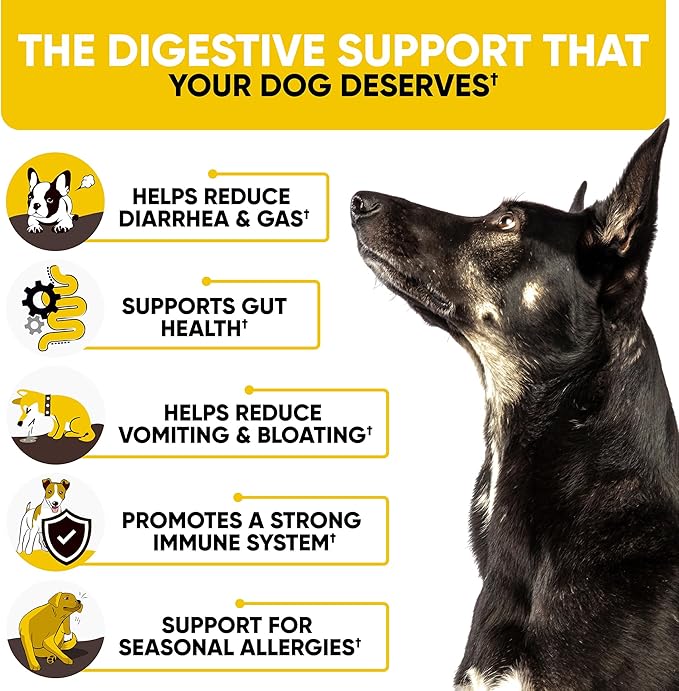 Probiotics for Dogs - Dog Probiotics and Digestive Enzymes for Small, Medium and Large Dogs - Support Gut Health, Itchy Skin, Allergies, Yeast Balance, Immunity (180 Chews)