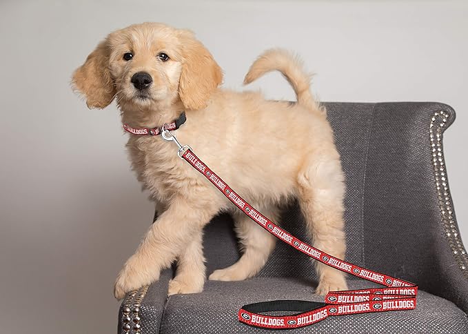 Pets First Collegiate Pet Accessories, Dog Leash, Georgia Bulldogs, Medium