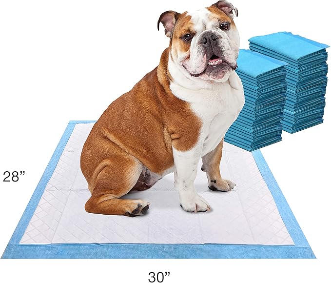 Four Paws Wee-Wee Odor Control with Febreze Freshness Pee Pads for Dogs of All Sizes, Leak-Proof Floor Protection Dog & Puppy Quilted Potty Training Pads, Spring Fresh Scent, 22" x 23" (50 Count)