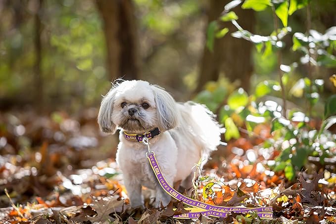 Pets First Collegiate Pet Accessories, Dog Leash, LSU Tigers, Small