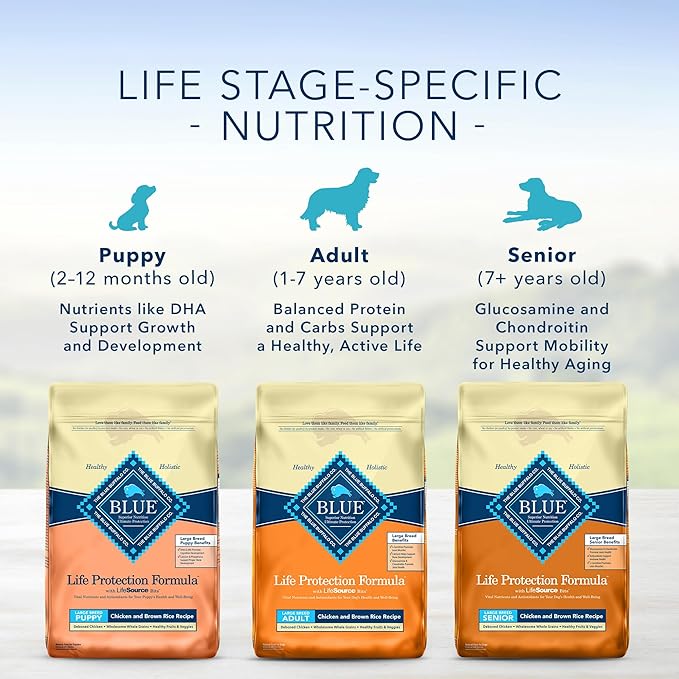 Blue Buffalo Life Protection Formula Natural Senior Large Breed Dry Dog Food, Chicken and Brown Rice 34-lb