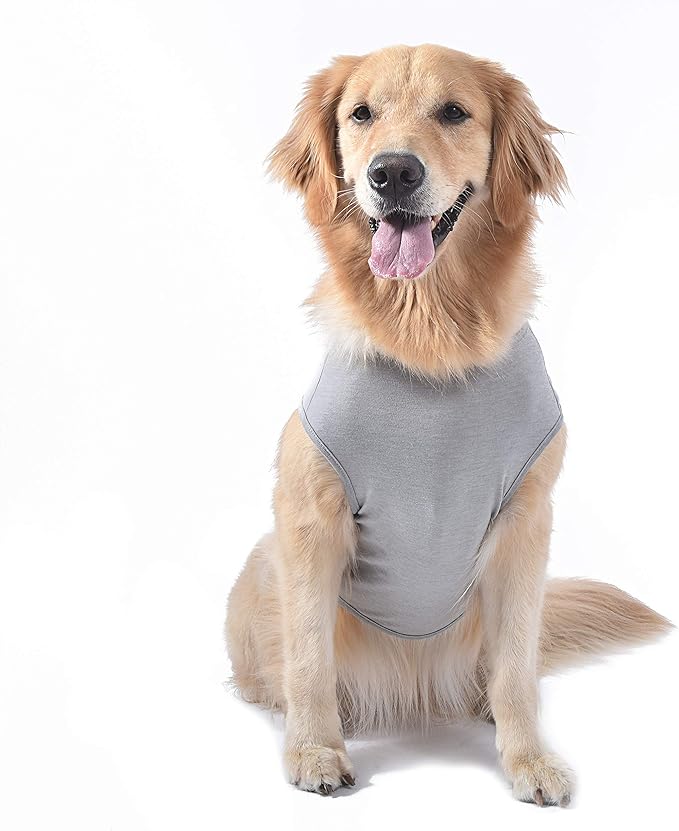 Star Wars for Pets Yoda Dog Tank - Star Wars Dog Shirt for Small Dogs - Size X-Small - Soft, Cute, and Comfortable Dog Clothing and Apparel, Cute Dog Clothes