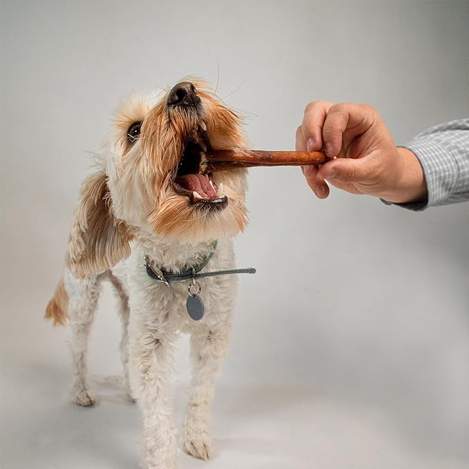 Pupford Thick Bully Sticks for Dogs & Puppies, Smoked for Improved Smell, Natural, Long-Lasting, Single Ingredient Chews for Medium & Large Breeds (12", 4 Count)