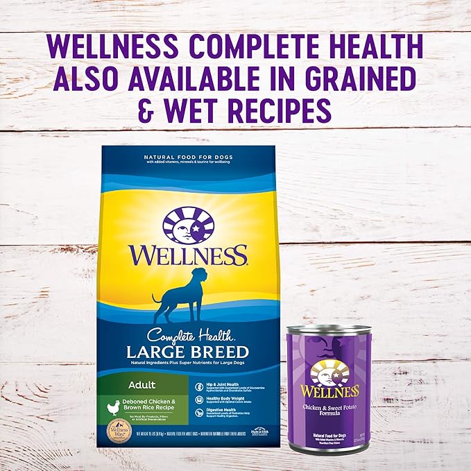 Wellness CORE Grain-Free High-Protein Large Breed Dry Dog Food, Natural Ingredients, Made in USA with Real Chicken (Adult Dog, 24-Pound Bag)