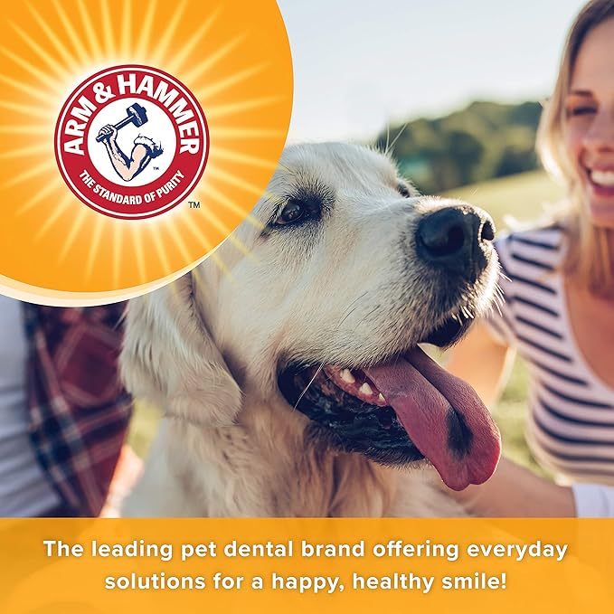 Arm & Hammer for Pets Tartar Control Enzymatic Toothpaste for Dogs | Reduces Plaque & Tartar Buildup | Safe for Puppies | Beef Flavor, 2.5 Ounces Dog Toothpaste