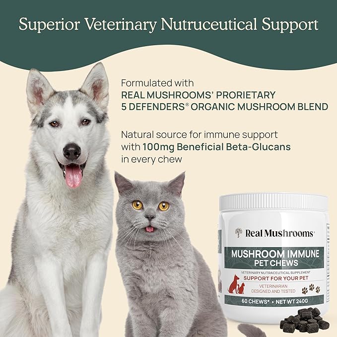 Mushroom Immune Support Pet Chews (60ct) treats for dogs – Immune booster supplements for pets with Ashwagandha, Astragalus, Blueberry, Olive Leaf, Acerola &Gut Health for Dogs and Cats