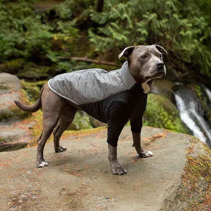 Furhaven Water-Repellent Medium Dog Coat, Washable & Reflective w/ Leash Access & Stretch Fabric - Pro-Fit Active Jacket - Chrome, Medium