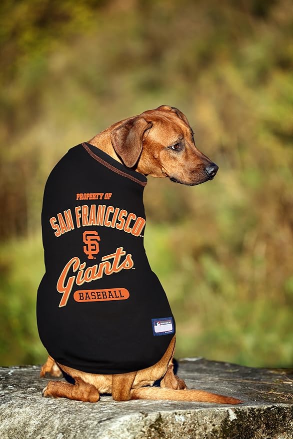 MLB SAN Francisco Giants Dog T-Shirt, Medium. - Licensed Shirt for Pets Team Colored with Team Logos. - Premium Stretchable Materials for The Comfort of Your Dog & cat.