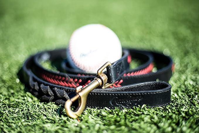 Rawlings | Baseball Stitch Leather Dog Leash | 5 Ft. | Multiple Colors