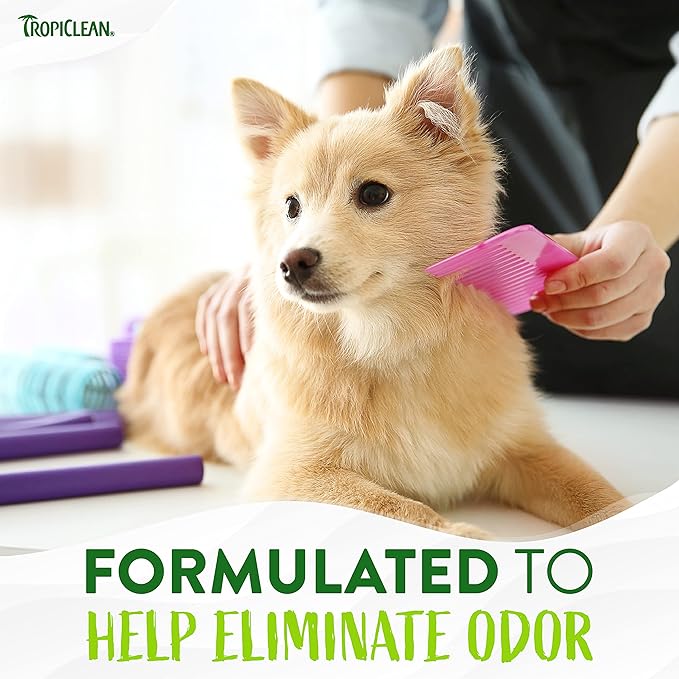 TropiClean Aloe & Coconut Deodorizing Dog Shampoo for Smelly Dogs | Odor Control Shampoo for Stinky Dogs | Natural Pet Shampoo Derived from Natural Ingredients | Cat Friendly | Made in the USA | 1 gal