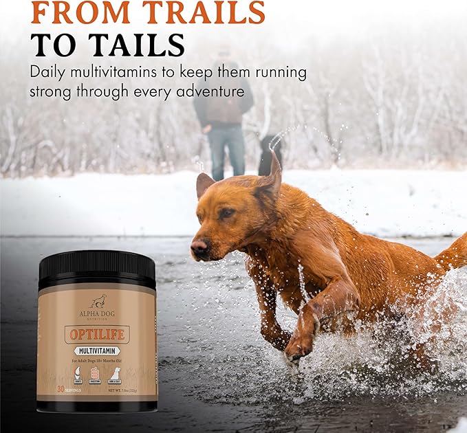 OptiLife Multivitamin for Adult Dogs - Contains Probiotics, Allergy Support, Joint Support, Muscle Recovery, and Skin & Coat Support - Powder Supplement (60 Servings)
