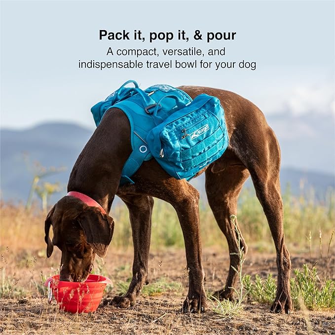 Kurgo Collaps-A-Bowl for Dogs, Collapsible Travel Dog Bowl, Pet Food & Hiking Water Bowl, Food Grade Bowl for Dogs, Travel Accessories for Pets, includes Carabiner (24 oz, Red)