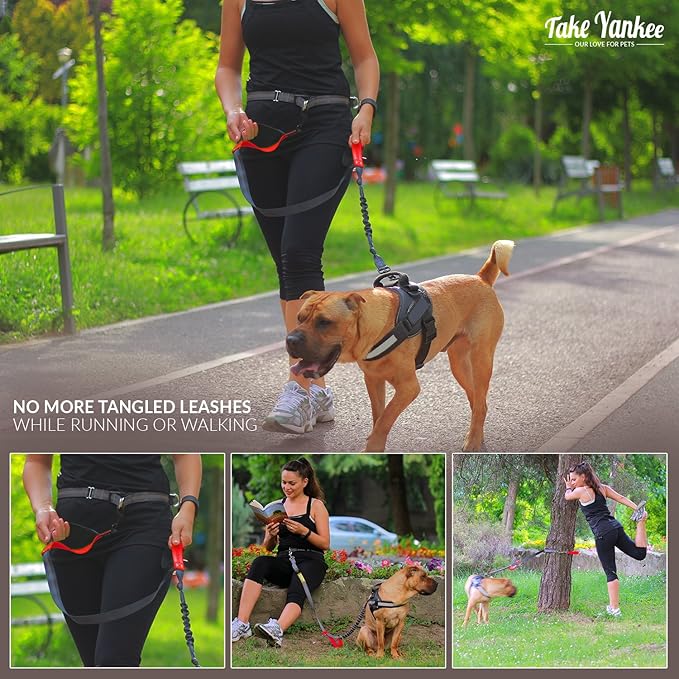 Hands Free Bungee Leash + Dual Dog Leash Coupler Kit Multifunctional + Retractable Traffic Jogging Hiking Leash & Reflective Pet Leash • Adjustable Body System + Padded Handles • Take Yankee