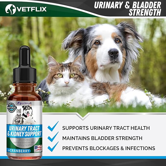 Cranberry Dog & Cat UTI Treatment - Best UTI for Pets - Made in USA - Dog & Cat Kidney Support - Cat Bladder Drops - Pet Immune Health Supplement - Marshmallow, Dandelion Root, Pumpkin Seed