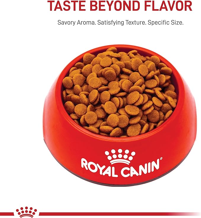 Royal Canin Small Digestive Care Dry Dog Food, 3.5 lb bag