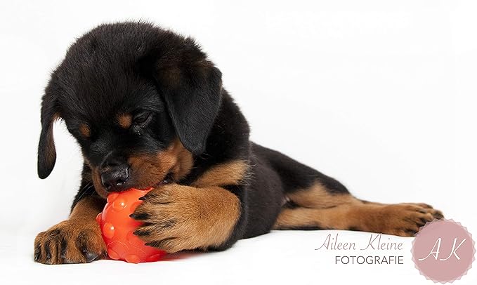 Jolly Pets Orange Jolly Jumper Ball Dog Toy 3 in