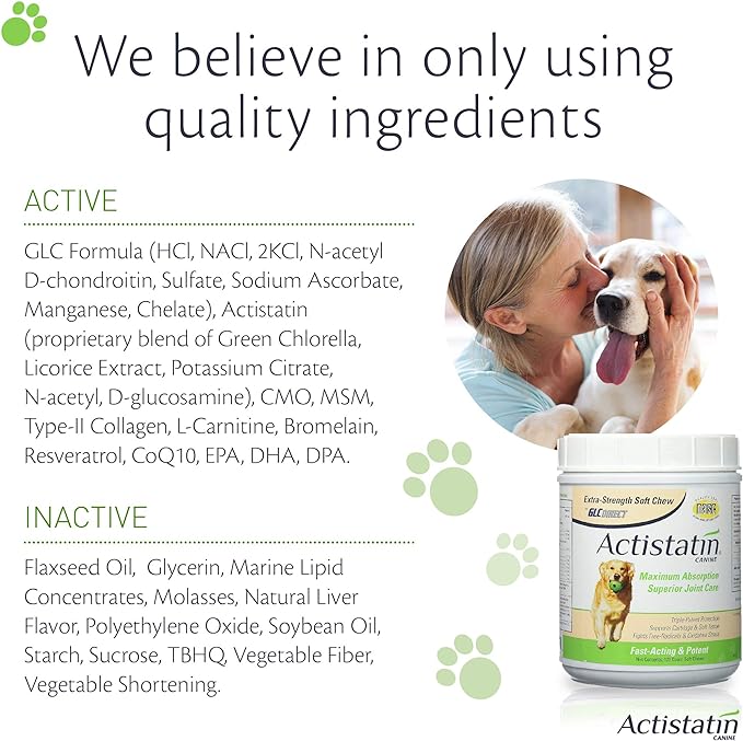 Canine Large Dog Soft Chews, 120ct – Patented Extra-Strength Joint, Cartilage, Soft Tissue Supplement: Glucosamine, Chondroitin, Manganese, MSM, L-Carnitine – High Absorption, Fast Results