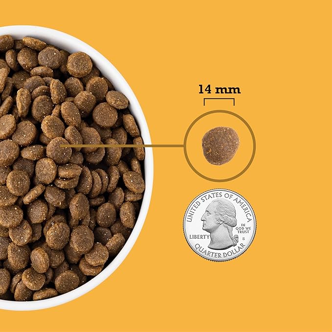 ACANA Grain Free Dry Dog Food, Free-Run Poultry Dog Food Recipe, 13lb